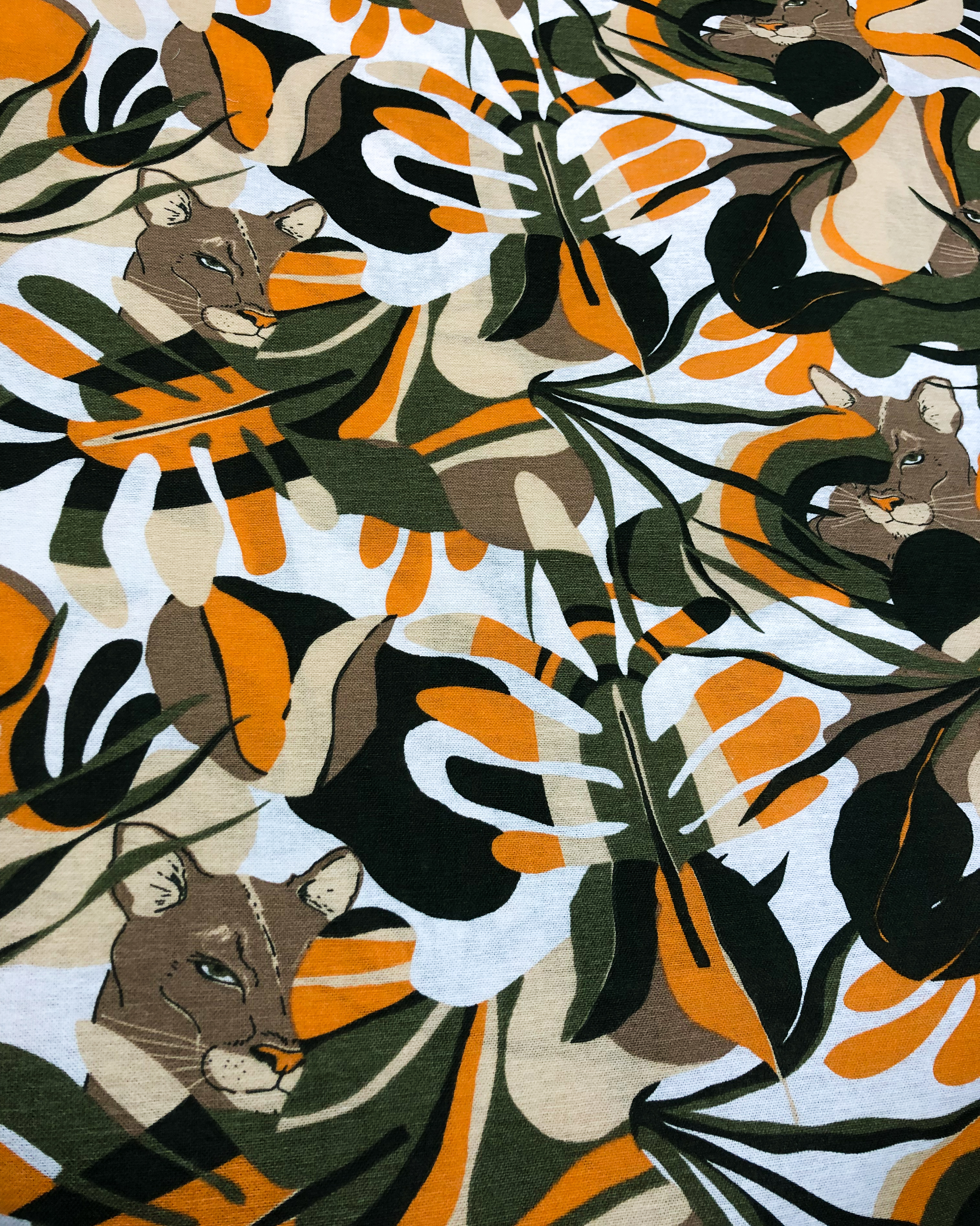 GABARDINA ESTAMPADA 2